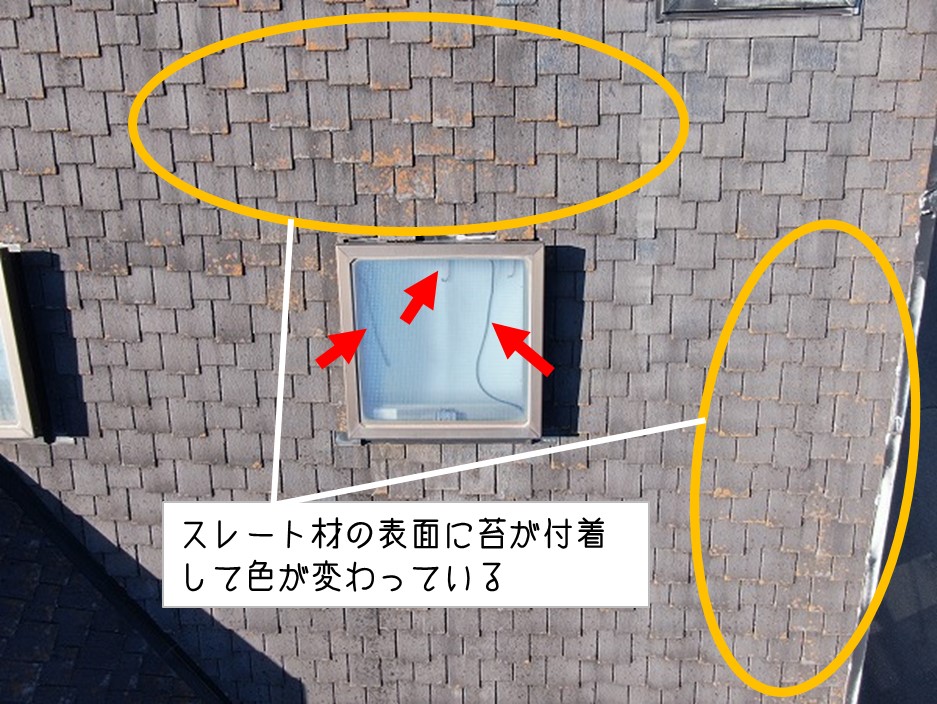 広島県坂町　カバー工事前調査ドローン調査天窓スレート材苔付着